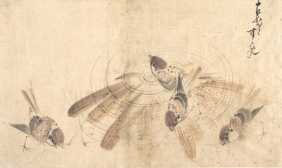 スズメ、カリフォルニア州。 1825年。 作： Katsushika Hokusai