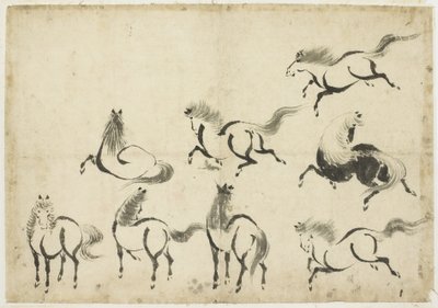 馬の研究、c.1815-1849（紙にインク） 作： Katsushika Hokusai