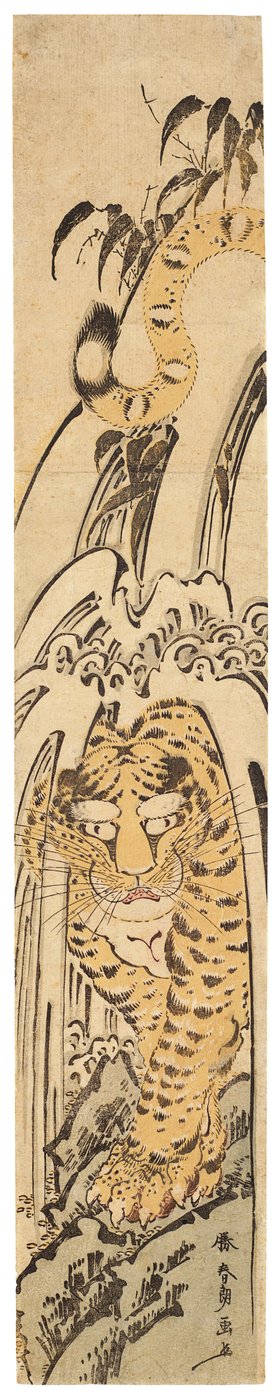 Takishita no tora (Tigre sob uma cachoeira), c.1780 (impressão em xilogravura) 作： Katsushika Hokusai