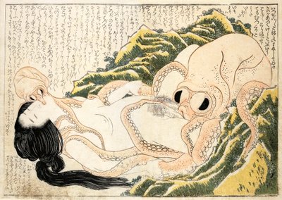 漁夫妻の夢 作： Katsushika Hokusai