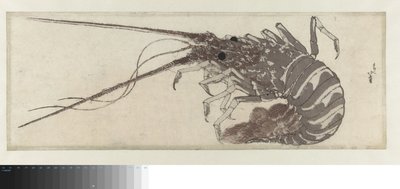 ロブスター 作： Katsushika Hokusai