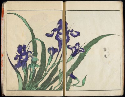 「精神を伝え、物事の姿を明らかにする：北斎の絵画の庭」第1巻 完結 作： Katsushika Hokusai