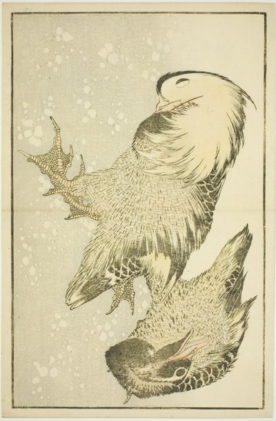 北斎写生画譜 二羽の水鳥 作： Katsushika Hokusai