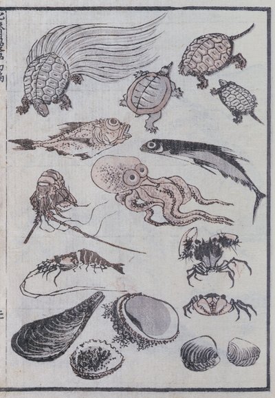 マンガからの海中の生き物（カラー木版画） 作： Katsushika Hokusai