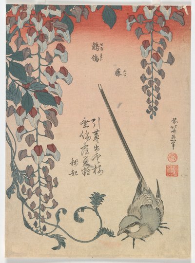 セキレイと藤、江戸時代、1834年（色木版画） 作： Katsushika Hokusai