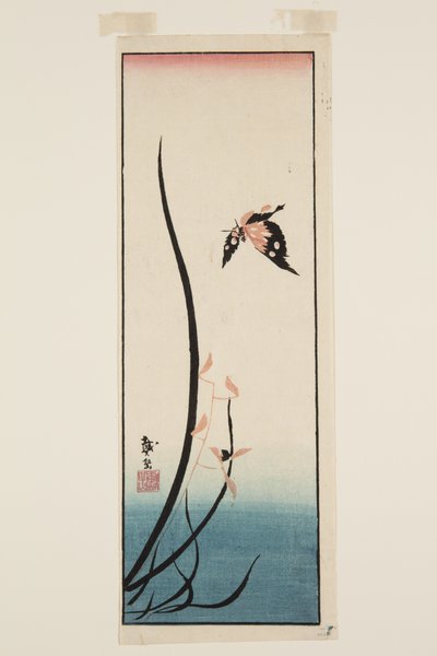 蝶と草（カラー木版画 作： Katsushika II (fl.1820 50) Taito