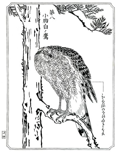 鷹、1898年。 作： Kawanabe Kyosai