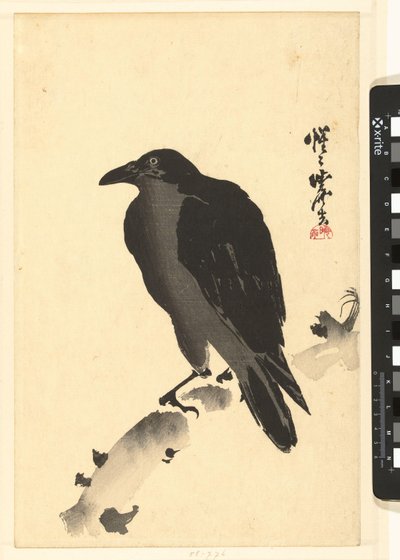 木の幹のカラス 作： Kawanabe Kyosai