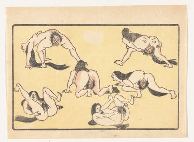 裸の女性 ビッグテイル（シリーズタイトル） 作： Kawanabe Kyosai