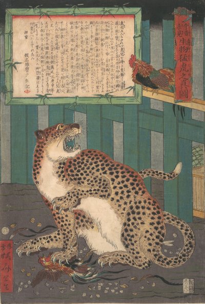 未だかつて見たことのない生きている野生の虎の実像...、1860年6月。 作： Kawanabe Kyosai