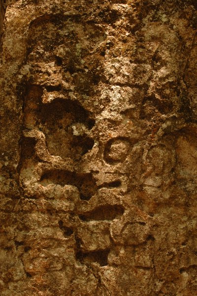 7319 オスペムル; マヤ; 古代文化; マヤ; メキシコ; マヤ生物圏保護区; イワン・スプリ..., 2004年（写真） 作： Kenneth Garrett