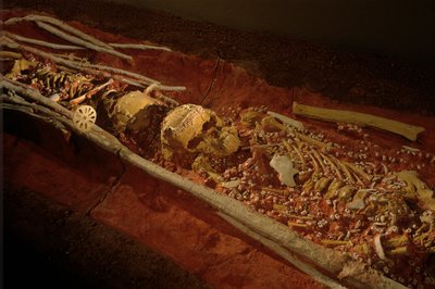 考古学; ヒト科; 人類; ホモ・サピエンス; 人類の進化; 氷河期; 2000年（写真） 作： Kenneth Garrett