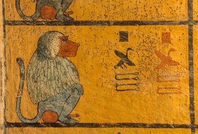 ヒヒ、ツタンカーメン王の墓の壁画；KV52、王家の谷、テーベ、...、2003年（写真） 作： Kenneth Garrett