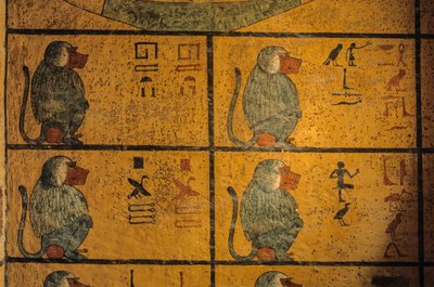 ヒヒ、ツタンカーメン王の墓の壁画；KV52、王家の谷、テーベ...、2003年（写真） 作： Kenneth Garrett
