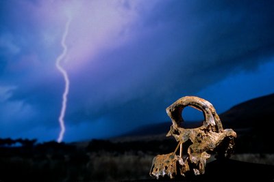 DOH; The First Steps, Broken Skull, STW 847, Lightning, High veld, Swartkrans, South Africa, 2008（写真） 作： Kenneth Garrett