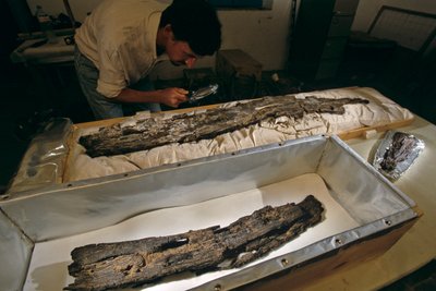 研究室で船の板材を検査するマシュー・アダムス博士（2005年、エジプト、アビドス産、杉ではなく広葉樹）（写真）。 作： Kenneth Garrett