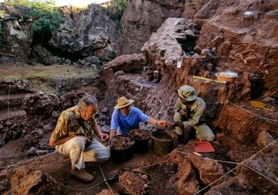 南アフリカ、ヨハネスブルグ近郊のドリモレアン遺跡、200万年前のヒト科動物 作： Kenneth Garrett