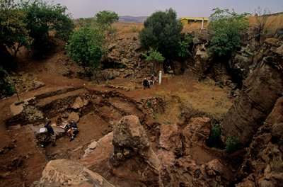 南アフリカ、ヨハネスブルグ近郊のドリモレアン遺跡、200万年前のヒト科動物、 作： Kenneth Garrett