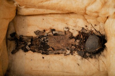 胎児のミイラ、ツタンカーメン王の子供、胎児1、女性、KV62から、現在カシ・アイニ・ホ... 2009年（写真） 作： Kenneth Garrett