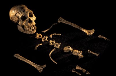 2008年、ドマニシで発見された身長4フィート7インチの複合骨格（写真）。 作： Kenneth Garrett