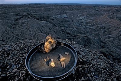 ルーシーの子供, ゼライ・アレムセゲド, アウストラロピテクス・アファレンシス, エチオピア, 古生物学者,..., 2006年（写真） 作： Kenneth Garrett