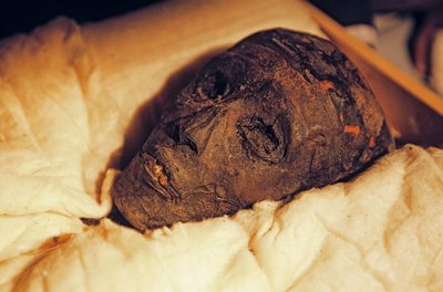 ツタンカーメン王のミイラ頭部と顔、2005年（写真） 作： Kenneth Garrett