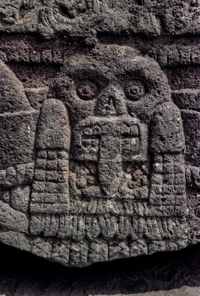 頭蓋骨と蛇の彫刻、テノチティトラン、テンプロ・マヨール、アステカ、メキシコ、メキシコ・シティ、2010年（写真）。 作： Kenneth Garrett