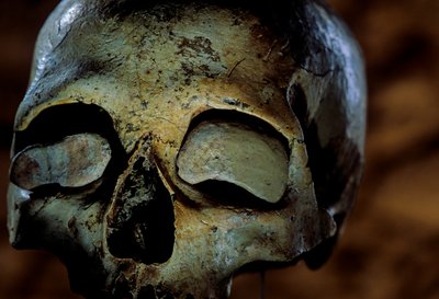 少女の頭蓋骨、フランス、マス・ダジル洞窟、2000年（写真） 作： Kenneth Garrett