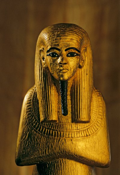 ドゥアミュテフ像; 金; 木, KV 62.ドゥアミュテフは古代エジプトの宗教において..., 2009 (写真) 作： Kenneth Garrett