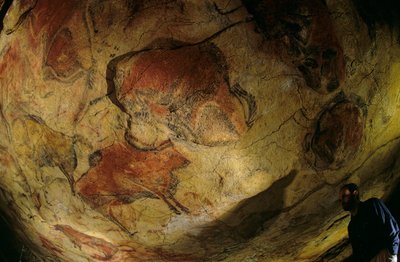 バイソンのギャラリー、アルタミラ洞窟、スペイン、2000年（写真） 作： Kenneth Garrett