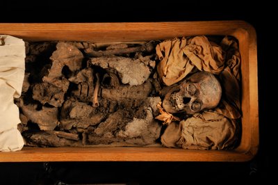 mm7864; ツタンカーメン; 第18王朝; 新王国時代; エジプト博物館; カイロ; DNA; サンプ..., 2005年（写真） 作： Kenneth Garrett