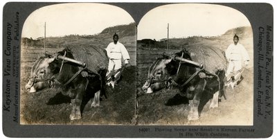 1900年代の韓国ソウル近郊での農業。 作： Keystone View Company