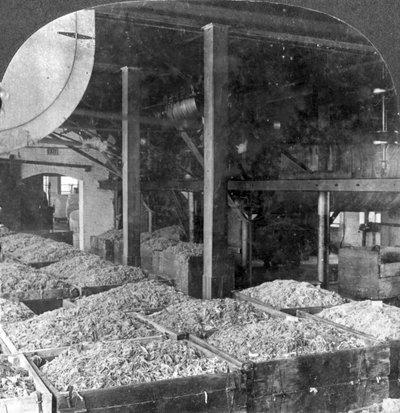 ぼろ紙から紙を作る、20世紀アメリカ、マサチューセッツ州ホルヨーク 作： Keystone View Company