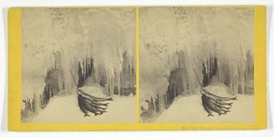 トラウト、185575。クリエイターキルバーンブラザーズ、BWキルバーン 作： Kilburn Brothers, BW Kilburn