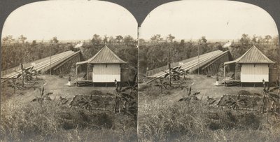 アフリカとアクターのステレオグラフ14枚のグループ、1850年代～1910年代。 作： Kilburn Brothers