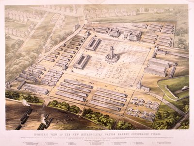 メトロポリタン牛市場、ロンドン、1855 作： King