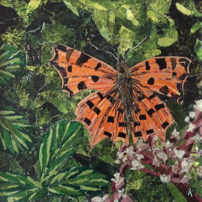Flutter-Japonicaのコンマバタフライ 作： Kirstie Adamson