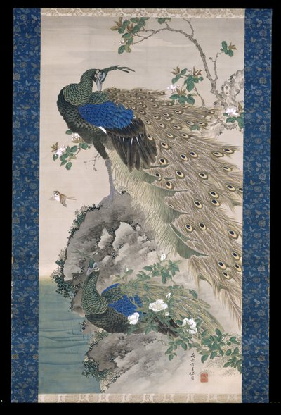 Cherry-Apple And Peacocks On Rock (シルクにインクと色) 作： Kishi Ganku