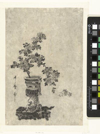 花瓶の菊 作： Kitagawa Utamaro (attributed to)
