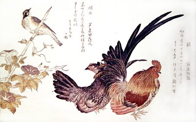 タケノコに乗った国内の鶏と雄鶏とホオジロ、1791年頃（カラー木版画） 作： Kitagawa Utamaro