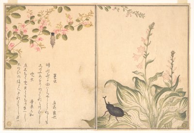  作： 北川歌ro