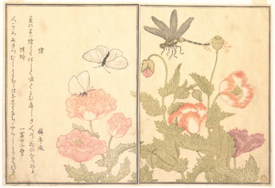  作： Kitagawa Utamaro
