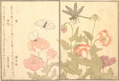 チョウ、トンボ カゲロウまたはトンボ、1788年。 作： Kitagawa Utamaro