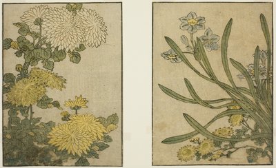 菊と水仙 絵本『絵本 四季の花』vol. 2 作： Kitagawa Utamaro