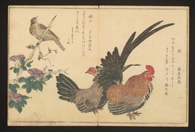 コックとホオジロ 作： Kitagawa Utamaro