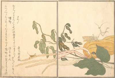 コーンヘッドのバッタやイナゴ、バッタ、カマキリのトロやカマキリ...、1788年。 作： Kitagawa Utamaro