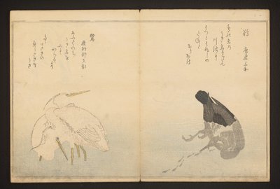 鵜と鷺 作： Kitagawa Utamaro