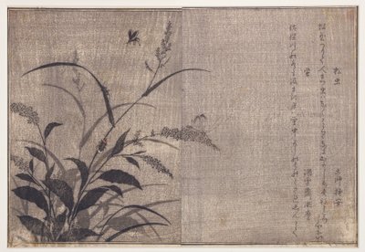 クリケットとホタル、1788（木版） 作： Kitagawa Utamaro
