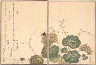 ミミズ、コオロギ...、1788年。 作： Kitagawa Utamaro