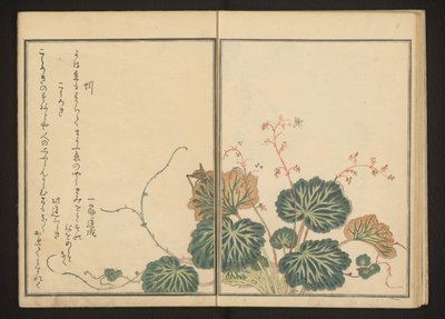 忍び寄るユキノシタのミミズとクロオオロギ 作： Kitagawa Utamaro